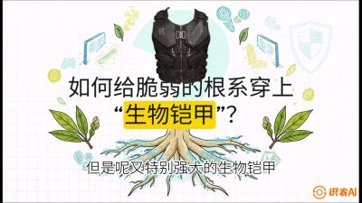 第三节：国产榴莲突围战：根系堡垒，菌根微生态构建与黄金定植窗口，课程：《国产榴莲突围战：从泰国经验到中国实操的8堂必修课（高阶实战版）》
