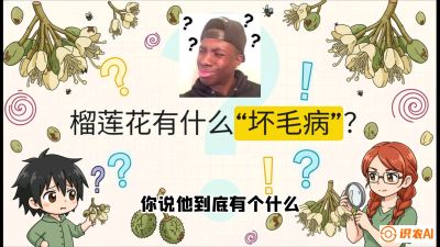 第六节：榴莲的午夜战事，夜间授粉战与花果期避雨策略，课程：《国产榴莲突围战：从泰国经验到中国实操的8堂必修课（高阶实战版）》