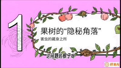 第3节：无人机专治&ldquo;打不透&rdquo;&mdash;&mdash;果树与高杆作物的穿透技巧，课程：《无人机植保搞钱必修课：从&ldquo;瞎飞&rdquo;到&ldquo;懂行&rdquo;的6步进阶》