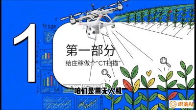 第5节：无人机也能&ldquo;看病抓药&rdquo;&mdash;&mdash;处方图与变量施肥入门，课程：《无人机植保搞钱必修课：从&ldquo;瞎飞&rdquo;到&ldquo;懂行&rdquo;的6步进阶》
