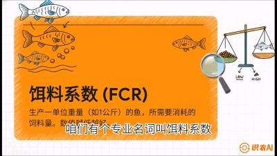 第五节：【高端单品&middot;鳜鱼】&ldquo;饲料鳜&rdquo;技术：打破吃活饵的高成本魔咒，课程：《黄金鳞甲：2025中国淡水鱼高效养殖实战营》
