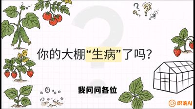 第2节（解毒篇）： 大棚里的&ldquo;红白绿&rdquo;警报&mdash;&mdash;读懂土壤盐渍化的求救信号，课程：《揭秘土壤的秘密：让土地帮你赚钱》#识农AI