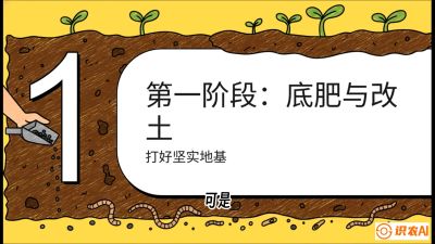 第6节（统筹篇）： 省钱又增产的&ldquo;黄金配比&rdquo;&mdash;&mdash;不同作物全年的养土实操方案，课程：《揭秘土壤的秘密：让土地帮你赚钱》#识农AI