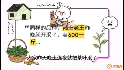 第01节（抢早篇）：与老天爷抢饭吃：如何利用&ldquo;温差阈值&rdquo;让头采茶提前5天上市？，课程：《茶金时代：从&ldquo;看天吃饭&rdquo;到&ldquo;精准控局&rdquo;的茶叶高产提质实战课》