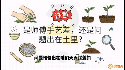 第02节（土肥篇）：告别&ldquo;苦涩水味&rdquo;：揭秘&ldquo;碳氮比&rdquo;调控术，种出自带兰花香的好茶底，课程：《茶金时代：从&ldquo;看天吃饭&rdquo;到&ldquo;精准控局&rdquo;的茶叶高产提质实战课》