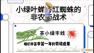 第03节（虫害篇）：看不见的吸血鬼：小绿叶蝉与红蜘蛛的&ldquo;非农药&rdquo;团灭战术（抗性治理），课程：《茶金时代：从&ldquo;看天吃饭&rdquo;到&ldquo;精准控局&rdquo;的茶叶高产提质实战课》
