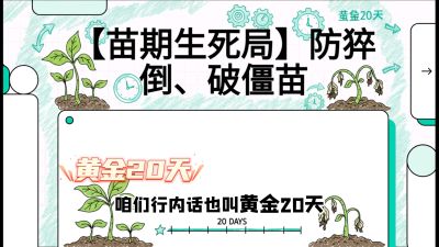 第2节：【苗期生死局】防猝倒、破僵苗，决定后期产量的&ldquo;黄金20天&rdquo;，课程：《辣椒种植实战特训营，从工业辣椒到精品小米辣，教你如何把&ldquo;草&rdquo;种成&ldquo;金&rdquo;》