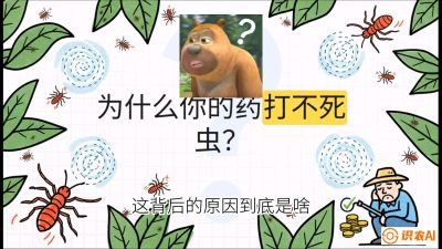 第4节：【虫害歼灭战】打不死的蓟马、隐形的茶黄螨：抗性时代的&ldquo;混配绝杀&rdquo;，课程：《辣椒种植实战特训营，从工业辣椒到精品小米辣，教你如何把&ldquo;草&rdquo;种成&ldquo;金&rdquo;》