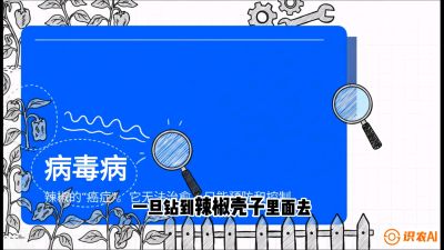 第5节：【病毒病阻击】辣椒的&ldquo;癌症&rdquo;怎么治？从&ldquo;绝收恐慌&rdquo;到&ldquo;带毒生产&rdquo;的逆转术，课程：《辣椒种植实战特训营，从工业辣椒到精品小米辣，教你如何把&ldquo;草&rdquo;种成&ldquo;金&rdquo;》