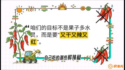 第7节：【工业辣椒专场】追求极致辣度！干物质提升与机械化采收的&ldquo;催红秘籍&rdquo;，课程：《辣椒种植实战特训营，从工业辣椒到精品小米辣，教你如何把&ldquo;草&rdquo;种成&ldquo;金&rdquo;》
