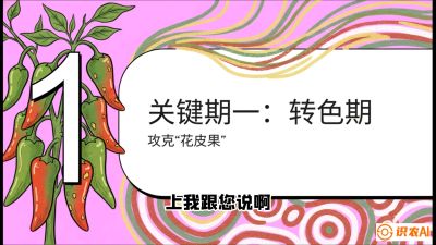 第8节：【小米辣线椒专场】颜值即正义！防花皮、防炭疽，打造收购商抢着要的&ldquo;精品果&rdquo;，课程：《辣椒种植实战特训营，从工业辣椒到精品小米辣，教你如何把&ldquo;草&rdquo;种成&ldquo;金&rdquo;》