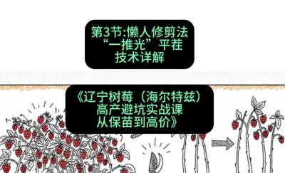 第三节： 懒人修剪法&mdash;&mdash;&ldquo;一推光&rdquo;平茬技术详解，课程：《辽宁树莓（海尔特兹）高产避坑实战课：从保苗到高价》