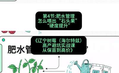 第四节： 肥水管理&mdash;&mdash;怎么喂出&ldquo;石头果&rdquo;（硬度提升），课程：《辽宁树莓（海尔特兹）高产避坑实战课：从保苗到高价》