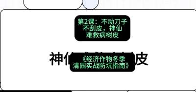 第2节：【物理手段】不动刀子不刮皮，神仙难救病树皮，课程：《经济作物冬季清园&middot;实战防坑指南》#识农AI