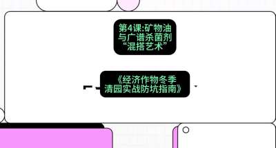 第4节：【替代方案】矿物油与广谱杀菌剂的&ldquo;混搭艺术&rdquo;，课程：《经济作物冬季清园&middot;实战防坑指南》#识农AI