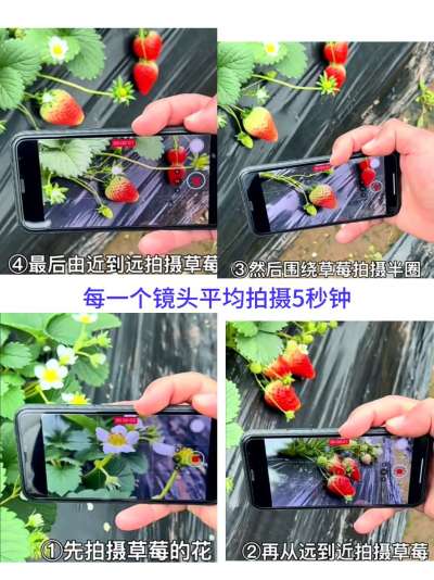 http://st-static1.seiwassp.com/forums/2026/01/24/17692156443983.jpeg