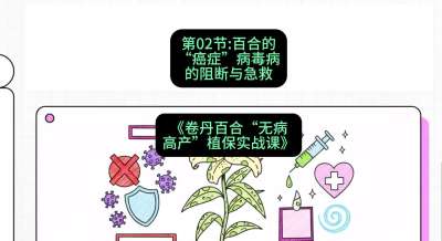 第02节：百合的&ldquo;癌症&rdquo;&mdash;&mdash;病毒病的阻断与急救，课程：《卷丹百合&ldquo;无病高产&rdquo;植保实战课》#识农AI