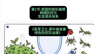 第01节：茶园的&ldquo;隐形盾牌&rdquo;&mdash;&mdash;物理防控与生态诱杀体系，课程：《茗茶卫士&mdash;&mdash;茶叶病虫害绿色防控实战课》#识农AI