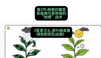 第03节：雨季的霉变&mdash;&mdash;炭疽病与茶饼病的&ldquo;抢晴&rdquo;战术，课程：《茗茶卫士&mdash;&mdash;茶叶病虫害绿色防控实战课》#识农AI