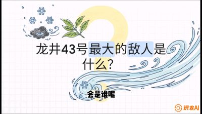 第04节：龙井双璧&mdash;&mdash;龙井43与群体种的差异化护养（重点），课程：《茗茶卫士&mdash;&mdash;茶叶病虫害绿色防控实战课》#识农AI
