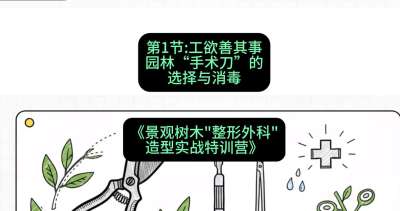 第01节：工欲善其事&mdash;&mdash;园林&ldquo;手术刀&rdquo;的选择与消毒，课程：《景观树木&ldquo;整形外科&rdquo;造型实战特训营》#识农AI