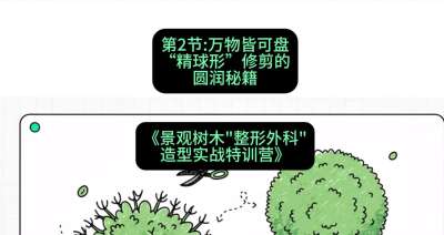第02节：万物皆可盘&mdash;&mdash;&ldquo;精球形&rdquo;修剪的圆润秘籍，课程：《景观树木&ldquo;整形外科&rdquo;造型实战特训营》#识农AI