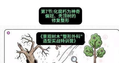第07节：化腐朽为神奇&mdash;&mdash;偏冠、秃顶树的修复整形，课程：《景观树木&ldquo;整形外科&rdquo;造型实战特训营》#识农AI