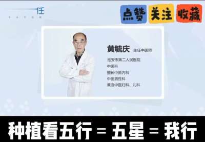 中药材淫羊藿怎么种？听专家一次讲明白！不挑地块好管理，耐寒耐旱省心省力，新手也能轻松上手，药用价值高、市场需求稳，妥妥的增收好品种～ 从生长习性到采收要点，干货满满无废话，种植疑问直接问，一对一答疑解
