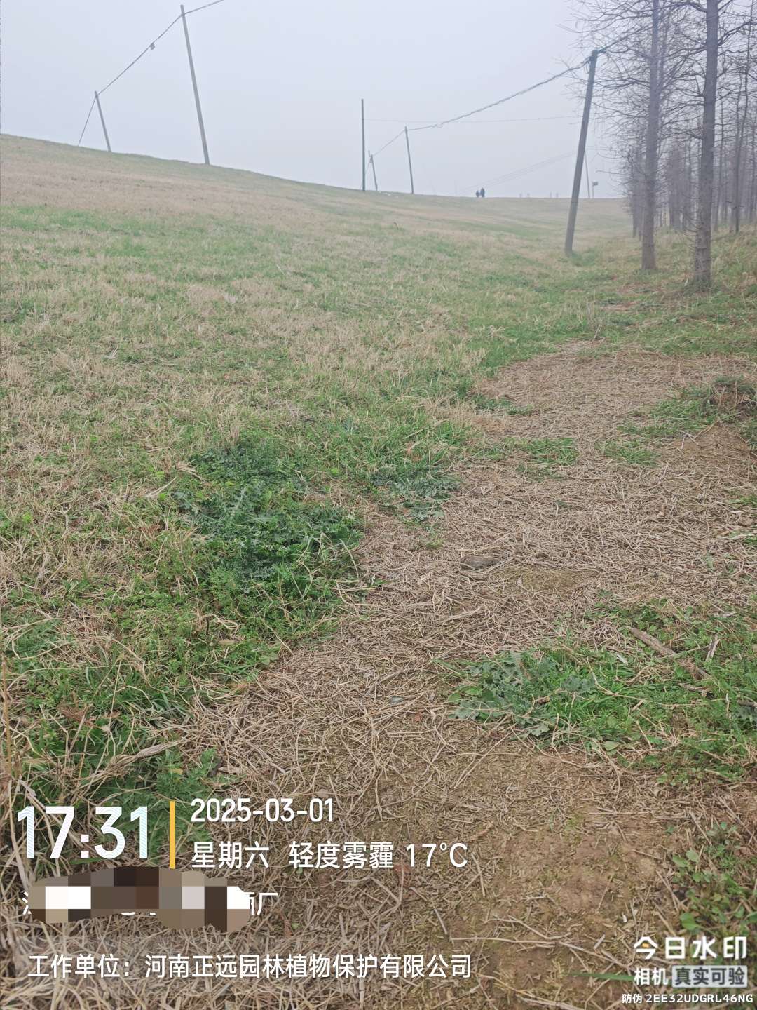 http://st-static1.seiwassp.com/forums/2026/02/02/17700008893173.jpeg