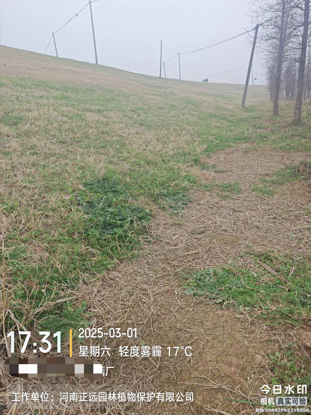http://st-static1.seiwassp.com/forums/2026/02/02/17700008909278.jpeg