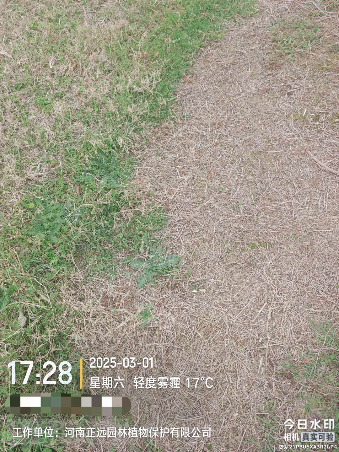http://st-static1.seiwassp.com/forums/2026/02/02/17700008917448.jpeg