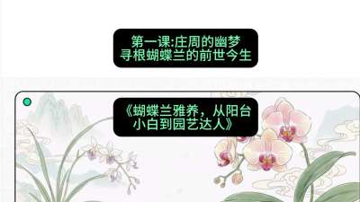 第一节：庄周的幽梦：寻根蝴蝶兰的前世今生，课程：《蝴蝶兰雅养六讲：从阳台小白到园艺达人》#识农AI