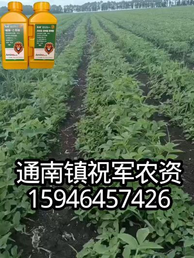 大豆苗前封闭，可封红根苋菜，灰菜，兰花菜，野豆子，捞豆秧等恶性杂草，封杀兼备的高端产品。