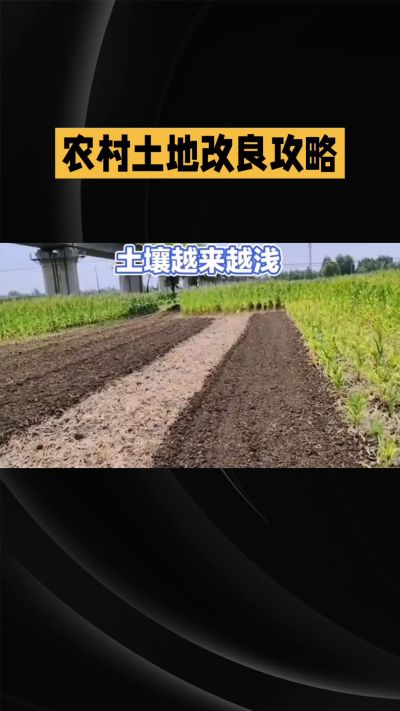1. 先搞懂：你到底要改良哪块地、种什么
 
- 土土土在哪里？
就是你自家农田、菜地、果园，哪块地想种庄稼，就测哪块地的土。
​
- 有水没有水？
有水能浇：改良更省事，施肥、调酸碱都好操作。
没水