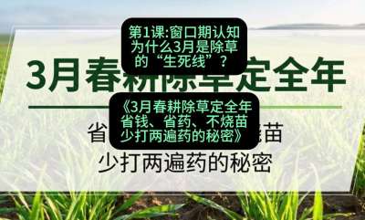 第1节：窗口期认知，为什么3月是除草的&ldquo;生死线&rdquo;？，课程：《3月春耕除草定全年：省钱、省药、不烧苗、少打两遍药的秘密》