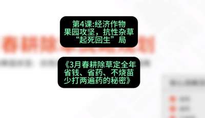 第4节：经济作物果园攻坚，抗性杂草&ldquo;起死回生&rdquo;局，课程：《3月春耕除草定全年：省钱、省药、不烧苗、少打两遍药的秘密》