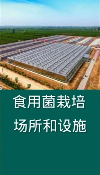 食用菌栽培场所和设施